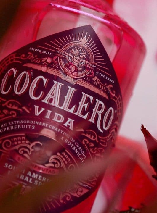 Cocalero Vida Superfrutas 22% 0.7L - thumbnail 3