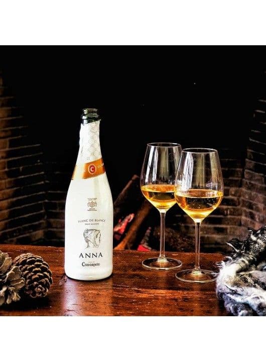 Bodegas Codorniu ANNA Brut Reserva - Cava 0.75l - thumbnail 4