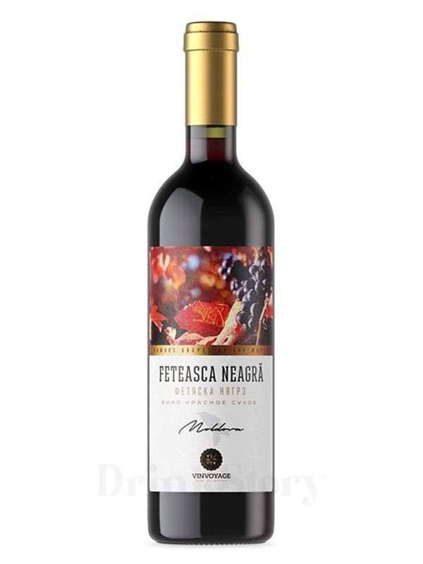Kvint Vinvoyage Feteasca Neagra