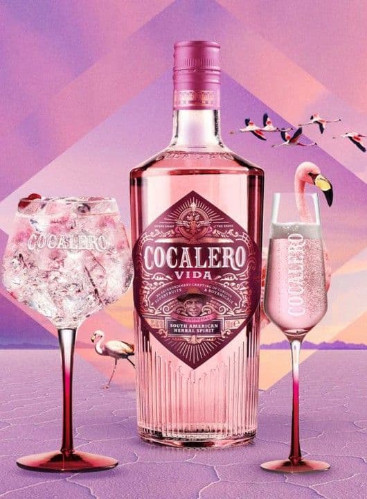 Cocalero Vida Superfrutas 22% 0.7L - thumbnail 2
