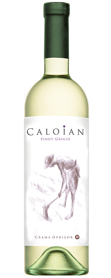 Vin alb sec Crama Oprisor Caloian Pinot Grigio 0.75L
