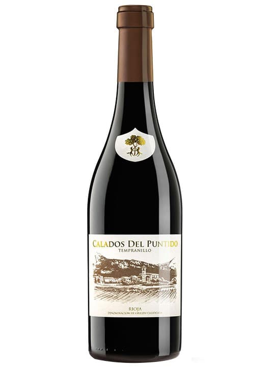 Bodegas Y Vinedos de Paganos CALADOS DEL PUNTIDO - Vin rosu sec 0.75l